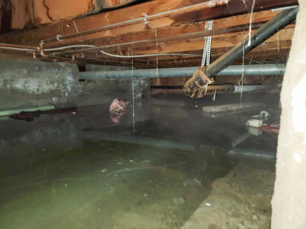 Best Water damage contractors near me  in Pixley, CA