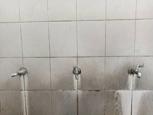 Best 24/7 water damage repair  in Pixley, CA