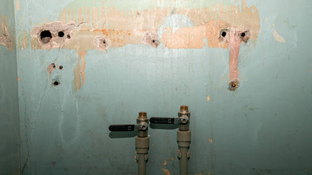 Trusted Pixley, CA Water damage restoration Experts